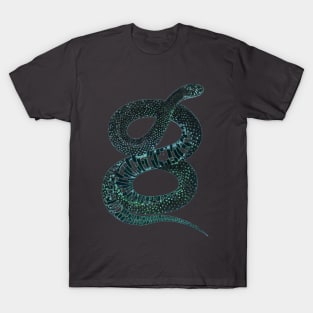 serpent,cobra,reptile,viper,venom,lizard,rattlesnake,king cobra T-Shirt